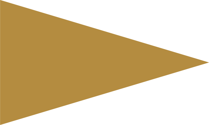 Dreieck Gold Logo